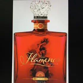 Casa Flamenco Blanco