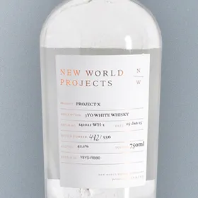 New World Projects:  Project X