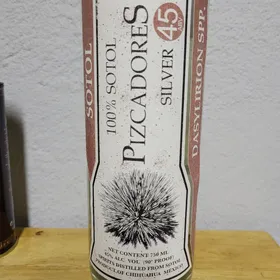 Pizcadores Silver Dasylirion SPP