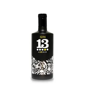 GIN 13