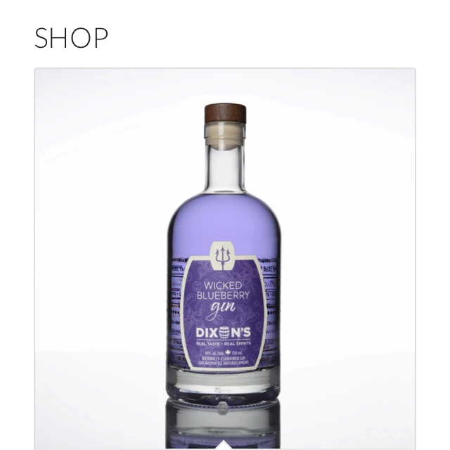 Dixon's Wicked Blueberry Gin