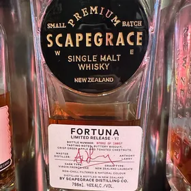 Scapegrace Fortuna VI