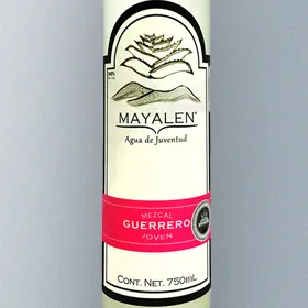 Mayalen Agua de Juventud Guerrero Mezcal