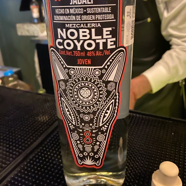 Noble Coyote  Jabalí Joven