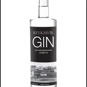 Reykjavik Gin